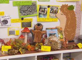 In beeld: ons onderwijsconcept